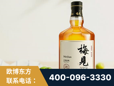 呼伦贝尔-梅见青梅酒